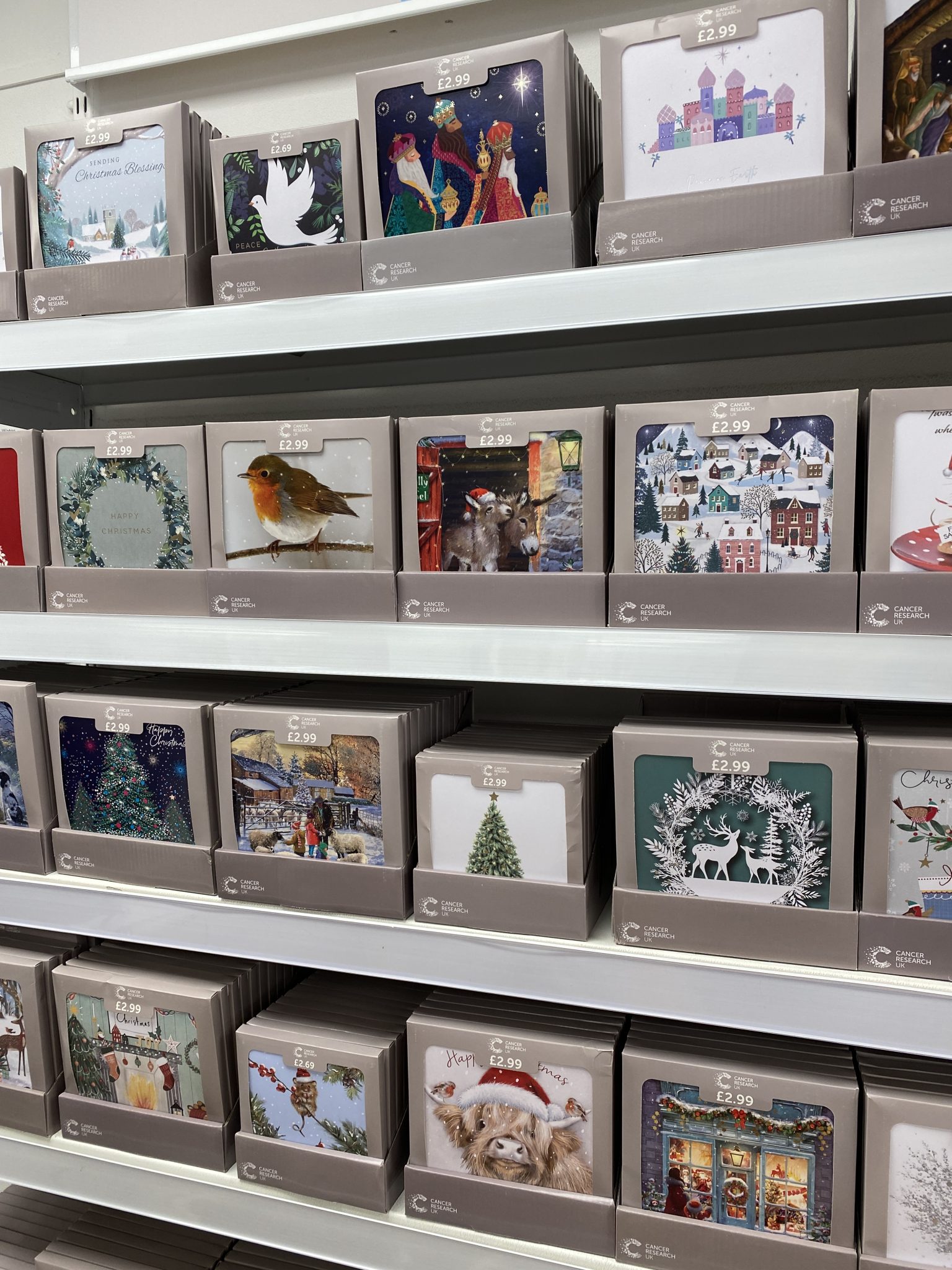 Kidney research christmas cards